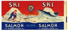 Ski vintage salmon for sale  Chico