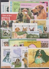 MM AL POR MAYOR - CTO - 17 S/S - PERROS - ANIMALES segunda mano  Embacar hacia Mexico