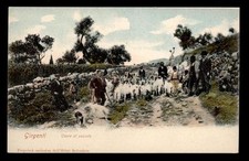Agrigento capre pascolo usato  Ragusa