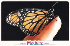 MADEIRA ~ BORBOLETA MONARCA ~ BORBOLETA MONARCA ~ USADA ~ POSTADA comprar usado  Enviando para Brazil