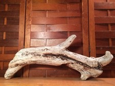Driftwood art terrarium for sale  Coupeville