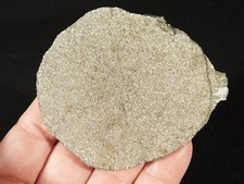 Pyrite sun pyrite for sale  Salt Lake City
