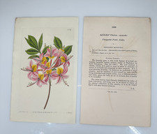 1833 miss drake for sale  Placerville