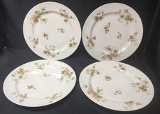 Vintage set dinner for sale  Sturgis