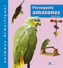 Perroquets amazones greg d'occasion Perroquets amazones greg d'occasion  France