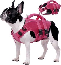 Dog life jacket for sale  Powell