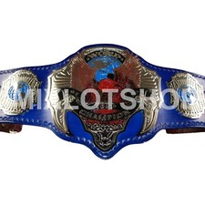 Cinto de luta livre personalizado World Teto Champions comprar usado  Enviando para Brazil