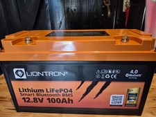 Liontron 100 lifepo4 gebraucht kaufen  Hohenwestedt