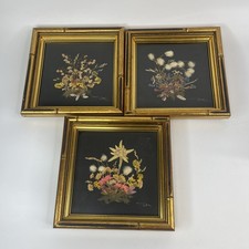 Lot vtg dried for sale  Oceanside