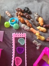 Guinea pigs miniature for sale  OXFORD