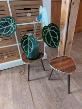 Set 50er jahre gebraucht kaufen  Döhlau