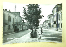 Vecchia cartolina vintage usato  Cremona
