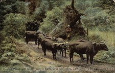 California hauling wood for sale  Harvard