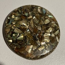 Plympton genuine abalone for sale  Midland