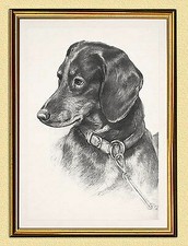 Jagdbild treuer freund gebraucht kaufen  Grabenstätt