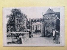 Old postcard forest d'occasion  Expédié en Belgium