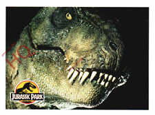 Picture postcard jurassic for sale  NEWCASTLE UPON TYNE
