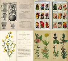 Herbs Botany Botanica Plants Herbal Remedy Medicine Vol.1 - 102 Old Books on DVD comprar usado  Enviando para Brazil
