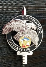 Brevet commando cnec d'occasion  Angoulême