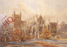 Picture postcard exeter for sale  NEWCASTLE UPON TYNE