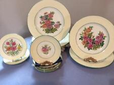 Wedgwood Garden Club porcelana de ossos conjunto inicial de treze peças W3037 comprar usado  Enviando para Brazil