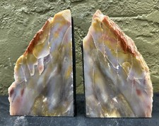 Exquisite petrified wood for sale  Wayne