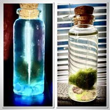Self sustaining mini for sale  GLOUCESTER