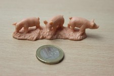 Schwein ferkel bully gebraucht kaufen  Friesoythe