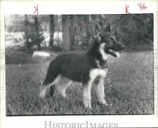 1979 press photo for sale  Memphis