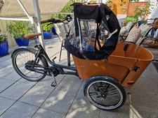 Babbo carve mountain gebraucht kaufen  Hiddenhausen