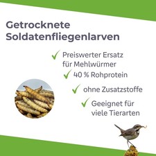 Soldatenfliegenlarven mehlwür gebraucht kaufen Soldatenfliegenlarven mehlwür gebraucht kaufen  Nordhorn