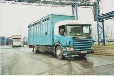 Photo scania livestock for sale  EGHAM