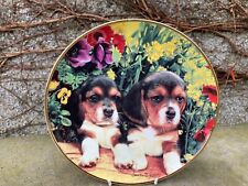 Puppies posies decorative for sale  BALLYMENA