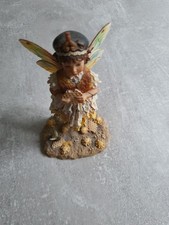 Honeycomb faerie ltd for sale  ST. HELENS