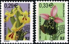 2002 fleurs orchidées d'occasion  Dieuze
