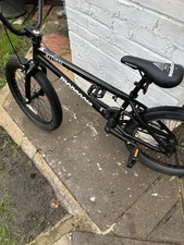 Mongoose ritual kids for sale Mongoose ritual kids for sale  FARNBOROUGH