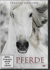 Pferde leben pferde gebraucht kaufen  Seelze
