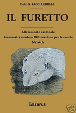 Furetto licciardelli usato Furetto licciardelli usato  Sorso