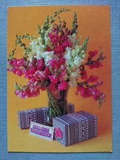 Cartão postal antigo parabéns Snapdragon Planet Publisher comprar usado  Enviando para Brazil