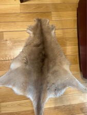 kangaroo leather hides for sale  Locust Valley