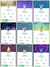 Fantasia e família de coroa de flores brilhantes Eevee - Comércio - Leia a descrição comprar usado  Enviando para Brazil