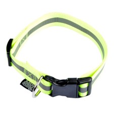 Collier chien bande d'occasion  Mouans-Sartoux