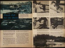 Haviland beaver bush for sale  Diamond Point
