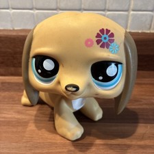 Large lps dog for sale  WESTON-SUPER-MARE