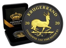 Silber krügerrand 2020 gebraucht kaufen  Baden-Baden