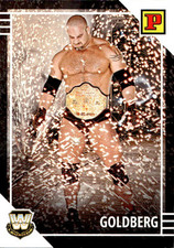 Card panini wwe usato  Italia