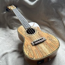 Blackwater spalted maple for sale  DUMFRIES