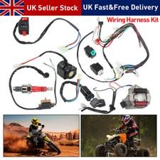 Cdi wire harness for sale  TAMWORTH