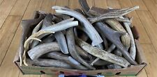 Dog chews 1lb for sale  Moscow