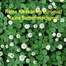 100 zwergklee mikroklee gebraucht kaufen  Langenfeld (Rheinland)